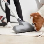 curious-dog-looks-vacuum-cleaner_77190-5642