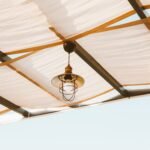 pexels-photo-6342147